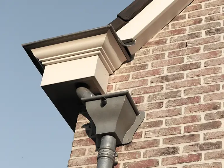 regenpijp-dakgoot-IMG_0100